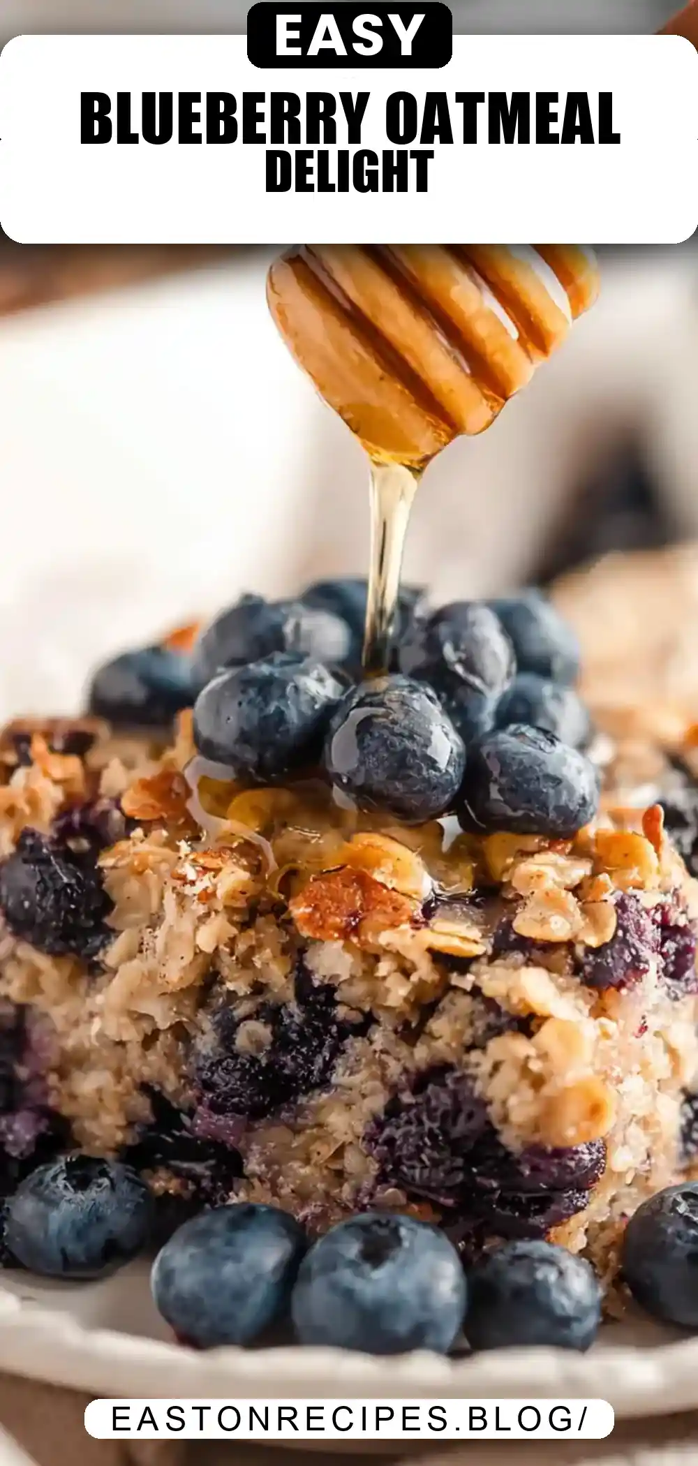 Blueberry Baked Oatmeal